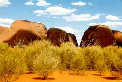 Picture of the outback